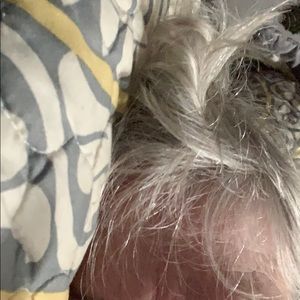 Meet your Posher, Lee ann